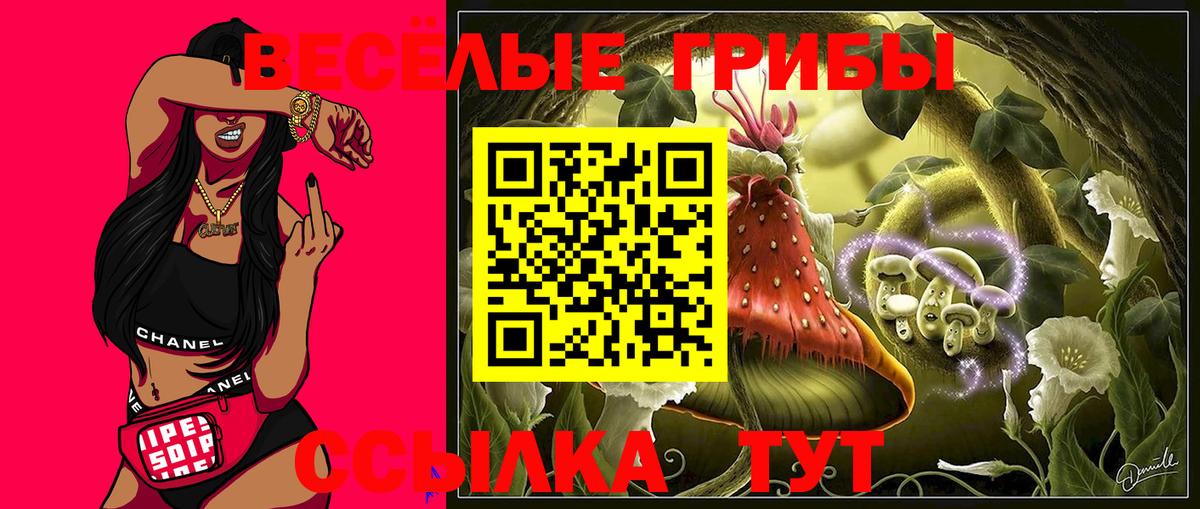 Галлюциногенные грибы Magic Shrooms  Вход с VPN  Вятские Поляны 